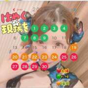 ヒメ日記 2026/09/08 10:03 投稿 ほたる ハピネス福岡