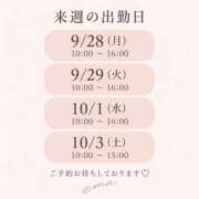 ヒメ日記 2026/09/26 16:36 投稿 えま 西船人妻花壇