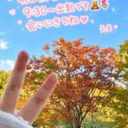 ヒメ日記 2026/10/18 20:29 投稿 えま 西船人妻花壇