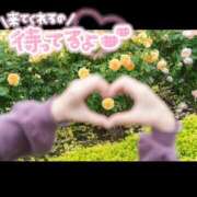ヒメ日記 2026/10/21 17:00 投稿 ゆら スイカ