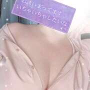 ヒメ日記 2026/10/23 07:45 投稿 調(しらべ) 相模原人妻城
