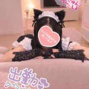 ヒメ日記 2026/10/09 09:14 投稿 みさき♡キス魔♡未経験美女 さくらんぼ女学院