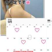 ヒメ日記 2026/09/07 18:30 投稿 おうか One More奥様　横浜関内店