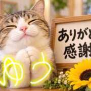 ヒメ日記 2026/09/15 12:30 投稿 佐々木 優 こあくまな熟女たち 京都店(KOAKUMAグループ)