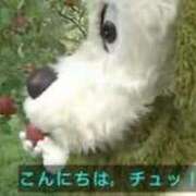 ヒメ日記 2026/09/13 04:20 投稿 みやび 奥様さくら日本橋店