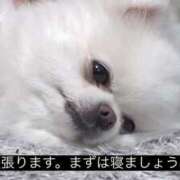 ヒメ日記 2026/10/06 19:10 投稿 ネル SLOW LIFE