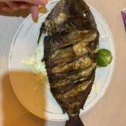 ヒメ日記 2026/09/18 06:21 投稿 紫乃(しの) グランドオペラ横浜