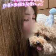 ヒメ日記 2026/09/24 20:46 投稿 叶瀬 鶯谷人妻城