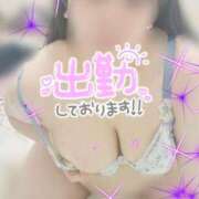 ヒメ日記 2026/08/31 14:59 投稿 るう 香川高松ちゃんこ