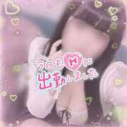 ヒメ日記 2026/10/11 11:19 投稿 るう 香川高松ちゃんこ