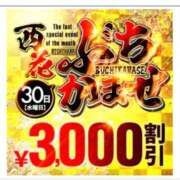 ヒメ日記 2026/09/29 00:04 投稿 ももな 西船人妻花壇