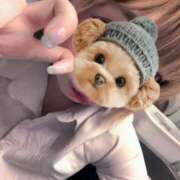 ヒメ日記 2026/10/07 23:13 投稿 あお cinnamon(シナモン)