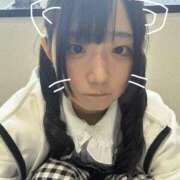 ヒメ日記 2026/09/12 13:53 投稿 にゃん アラビアンナイト