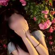 ヒメ日記 2026/09/01 13:46 投稿 えみ★極上ルックス！丸の内OL Bell～S級美女お姉様・人妻デリヘル～