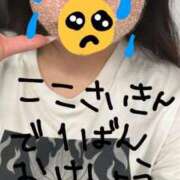 ヒメ日記 2026/09/17 05:26 投稿 らん 錦糸町アロマエステ