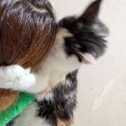 ヒメ日記 2026/09/10 19:45 投稿 いるみ feel＆airi