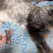 ヒメ日記 2026/10/03 12:55 投稿 いるみ feel＆airi