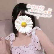 ヒメ日記 2026/09/23 11:31 投稿 汐見めぐ 華椿