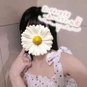 ヒメ日記 2026/10/11 17:01 投稿 汐見めぐ 華椿