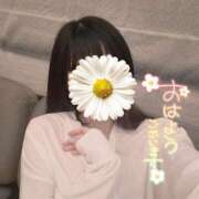 ヒメ日記 2026/10/21 06:31 投稿 汐見めぐ 華椿