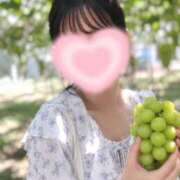 ヒメ日記 2026/09/20 02:33 投稿 小川まり セレブショップ新宿（東京ハレ系）