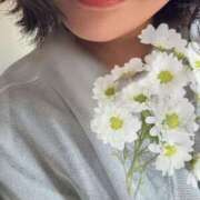 ヒメ日記 2026/10/09 10:33 投稿 ゆかり 横浜人妻花壇本店