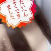ヒメ日記 2026/09/30 00:02 投稿 まどか ぽっちゃり巨乳素人専門店ぷにめろ池袋店