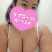 ヒメ日記 2026/09/18 16:37 投稿 うみ 白いぽっちゃりさん