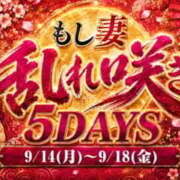 ヒメ日記 2026/09/18 08:25 投稿 ひいろ もしも清楚な20、30代の妻とキスイキできたら横浜店