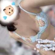 ヒメ日記 2026/08/30 15:13 投稿 らん Evolution 2nd