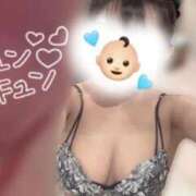 ヒメ日記 2026/09/12 14:32 投稿 らん Evolution 2nd