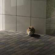 ヒメ日記 2026/09/26 18:16 投稿 オトハ アリスマリオン
