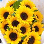 ヒメ日記 2026/09/11 18:08 投稿 みお Beppin house