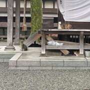 ヒメ日記 2026/10/07 20:00 投稿 くれは【FG系列】 フィーリングin厚木【FG系列】