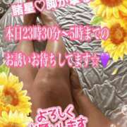 ヒメ日記 2026/09/19 12:49 投稿 諸星(もろぼし) 八王子人妻城