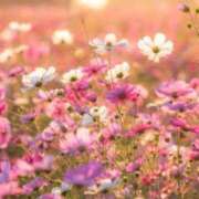 雅★新人割引対象 やっと秋らしくなってきましたね🍁 BITEKI