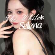 ヒメ日記 2026/09/22 06:24 投稿 セレナ The White（ザ ホワイト）