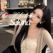 ヒメ日記 2026/09/26 02:31 投稿 セレナ The White（ザ ホワイト）
