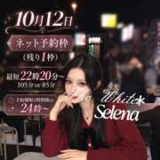 ヒメ日記 2026/10/08 22:17 投稿 セレナ The White（ザ ホワイト）