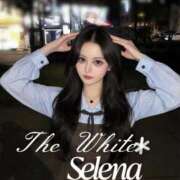 ヒメ日記 2026/10/14 15:57 投稿 セレナ The White（ザ ホワイト）