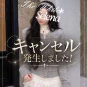 セレナ ⚠️🇷🇺Selena キャンセル発生‼️ The White（ザ ホワイト）