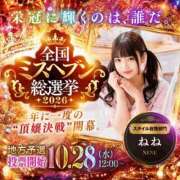 ヒメ日記 2026/10/12 23:36 投稿 ねね(新人割11/17まで) ニュー不夜城