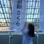ヒメ日記 2026/08/29 21:28 投稿 フクシア 飾窓