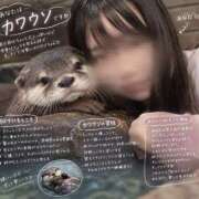 ヒメ日記 2026/09/20 00:44 投稿 フクシア 飾窓