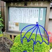 ヒメ日記 2026/09/20 12:09 投稿 ななみ ぽっちゃりデリヘル倶楽部