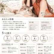 ヒメ日記 2026/09/17 07:54 投稿 一条 愛(あい)【愛濃い目。】 美魔女コレクション別府店