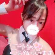 ヒメ日記 2026/09/20 09:20 投稿 かすみ BUNNY×BUNNY