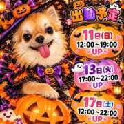 ヒメ日記 2026/10/10 19:22 投稿 あみ 美熟女倶楽部Hip's 春日部店
