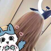 ヒメ日記 2026/09/15 04:02 投稿 みさ完全業界未経験天然っ娘 ぽちゃぱい