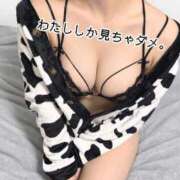 ヒメ日記 2026/10/12 22:28 投稿 ひより 木更津人妻花壇